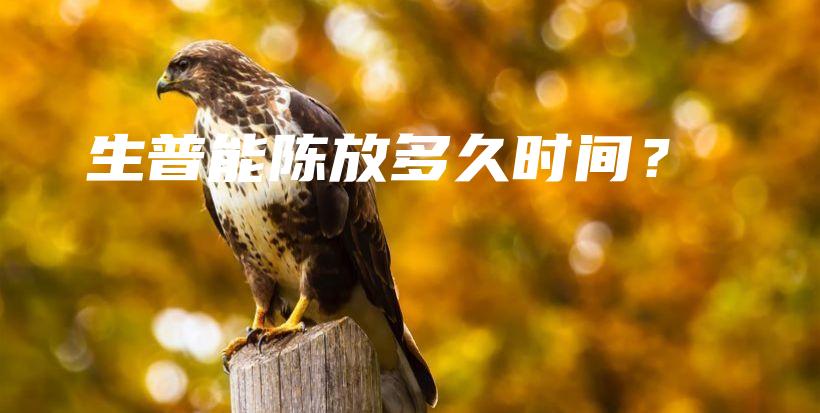 生普能陳放多久時間？插圖