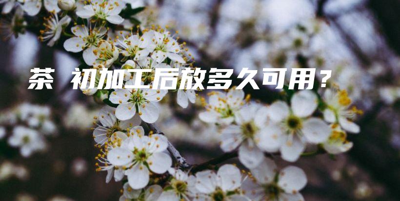 鮮茶葉初加工后放多久可用？插圖