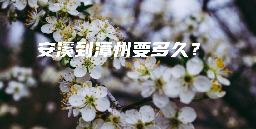 安溪到漳州要多久？插圖