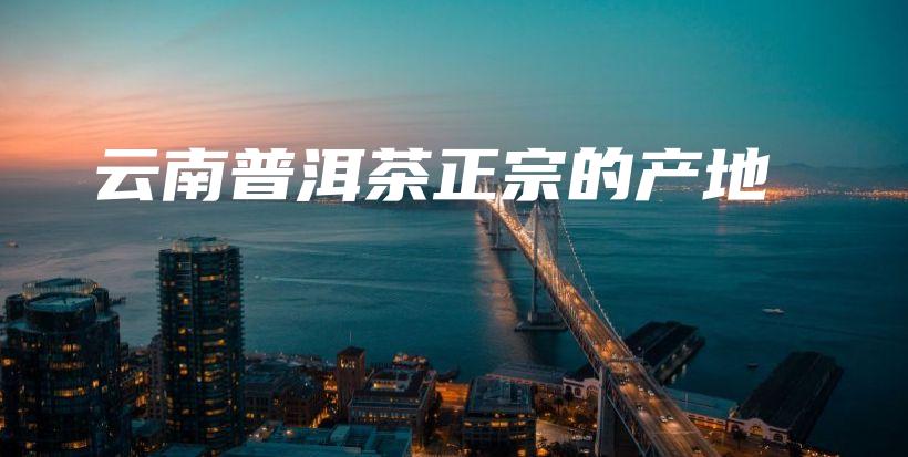 云南普洱茶正宗的產(chǎn)地插圖