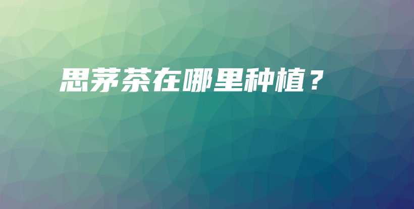 思茅茶在哪里種植？插圖