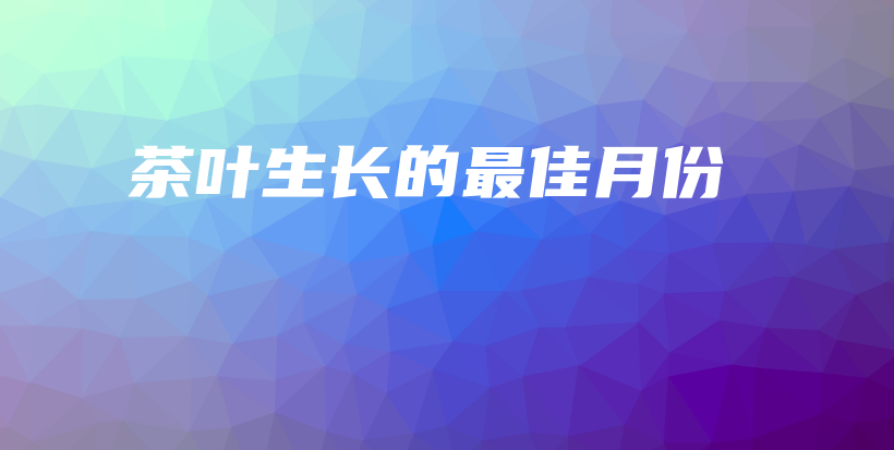 茶葉生長的最佳月份插圖