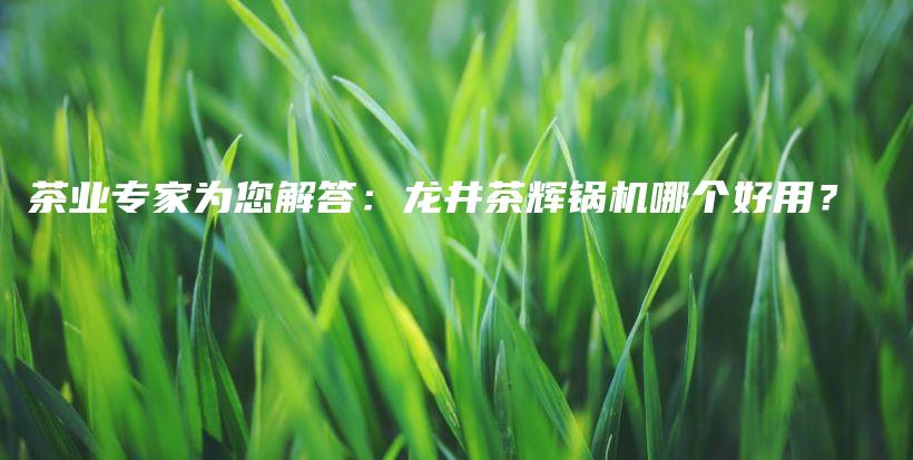 茶業(yè)專家為您解答：龍井茶輝鍋機哪個好用？插圖