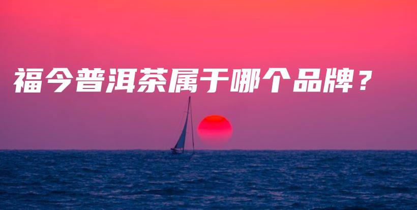 福今普洱茶屬于哪個(gè)品牌？插圖