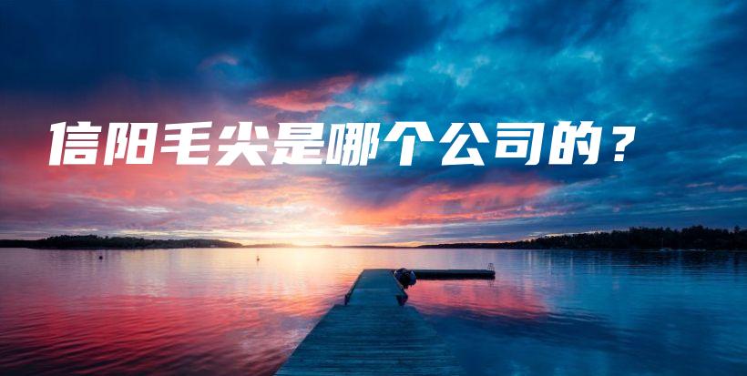 信陽(yáng)毛尖是哪個(gè)公司的？插圖